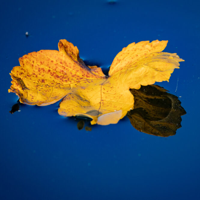 Musikschule geschlossen